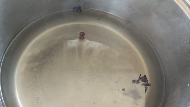 Маринуем тыкву, легко, вкусно и доступно смотреть онлайн