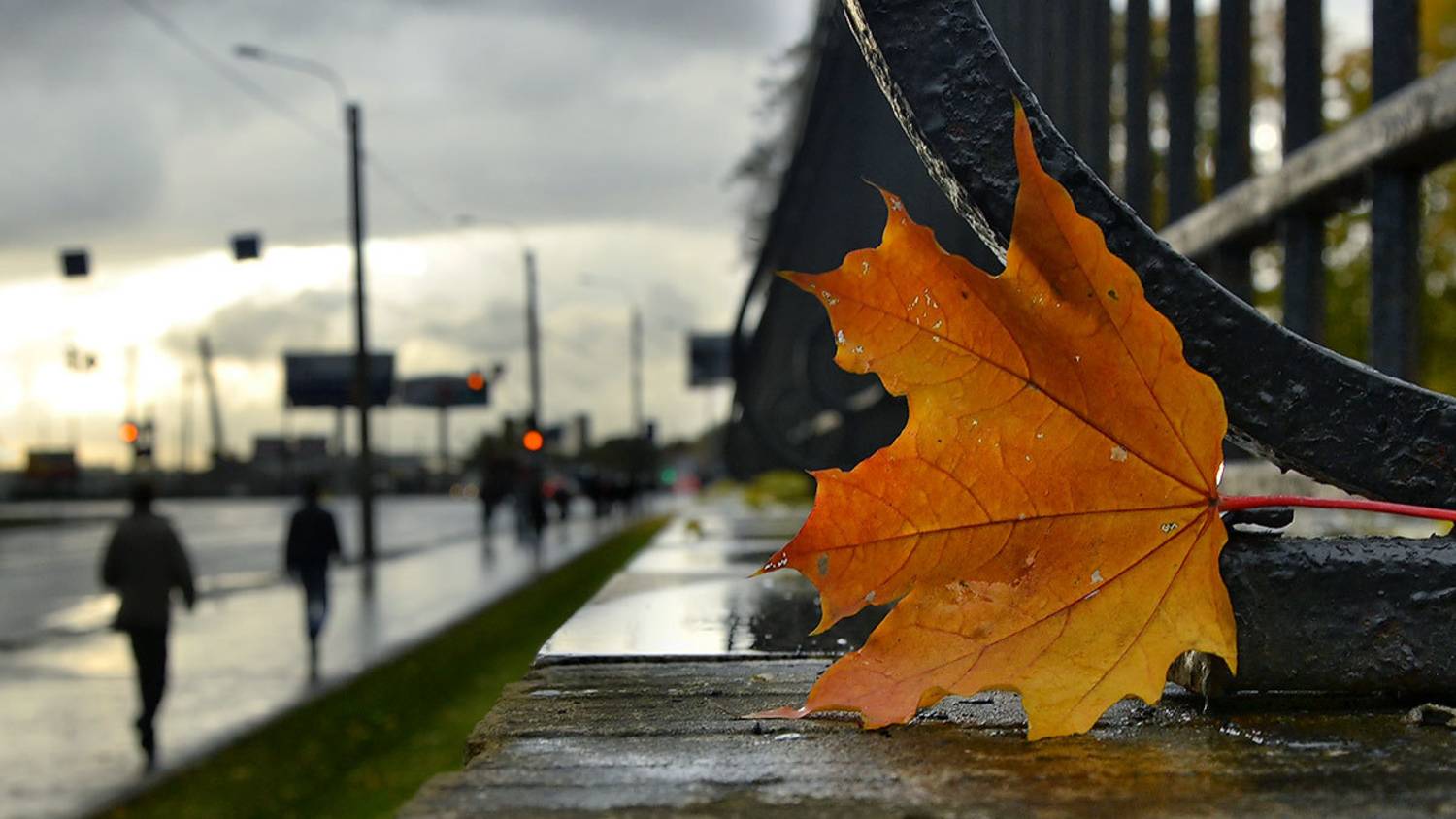 Вадим Утемесов – Листья на ветру (2025, AI SUNO) смотреть онлайн