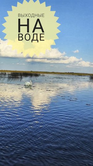 Отдых в Пскове. Отдых на воде