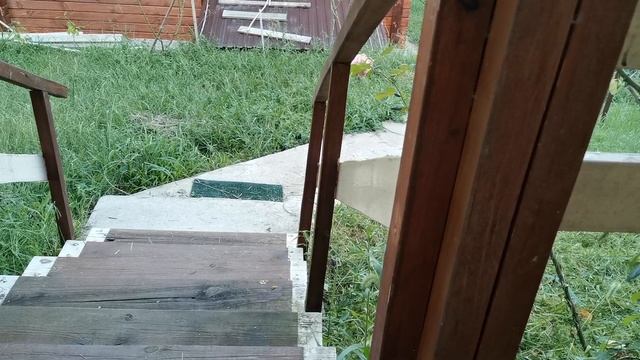 СОЧИ ГОРНОЕ ЛОО ВЕЧЕР 11.09.2025 смотреть онлайн