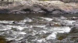 Необыкновенная музыка Сергея Чекалина, красивая, неземная.. (1)