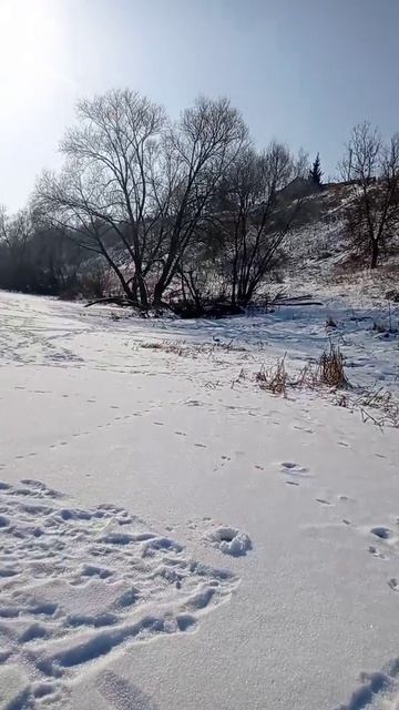первый раз на зимней рыбалке смотреть онлайн