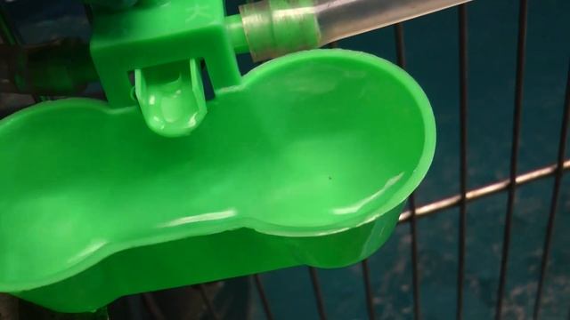 НЕ ПОКУПАЙТЕ ЭТИ ПОИЛКИ ДЛЯ КУР - недостатки и достоинства нипельных поилок смотреть онлайн