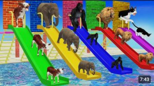 💥Long slide game💥 будь осторожен на горке! ‼️ забавная игра вместе с животными 🐮🐘🪿🦓🦬