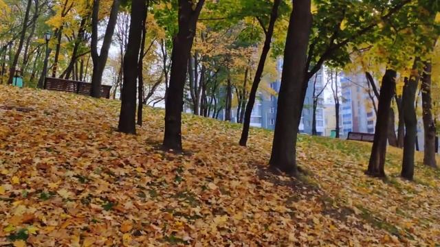 Антология осени (клип)