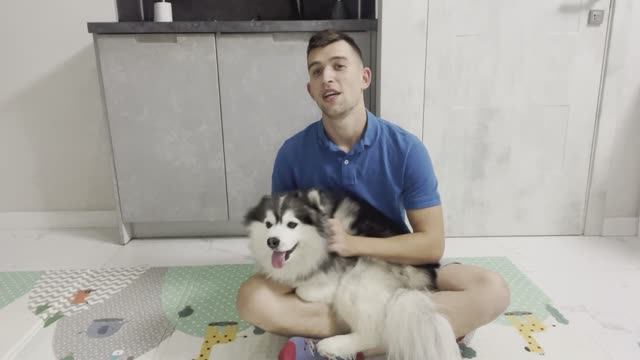 Выбор собаки. Личный опыт