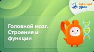 Биология 8 класс. Головной мозг. Строение и функции