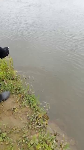 поймал конька