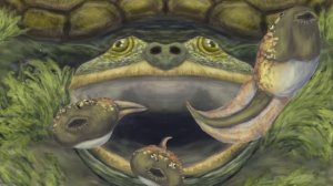 Древние Хищники, которые до сих пор пугают учёных | Мегалодон, Саблезубые Титаны и Акулы с крыльями