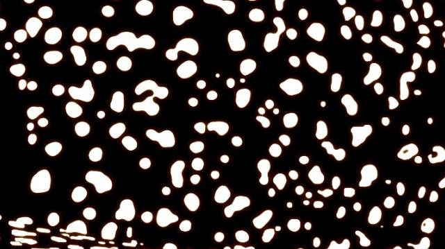 Amalgam - Insatiable Minds