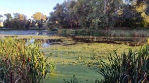 Прогулка на берегу Везёлки 11.09.25.