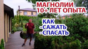 Магнолии - как сажать, выращивать, спасать 10+ лет опыта