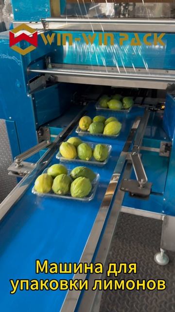 WIN-WIN PACK Машина для упаковки лимонов