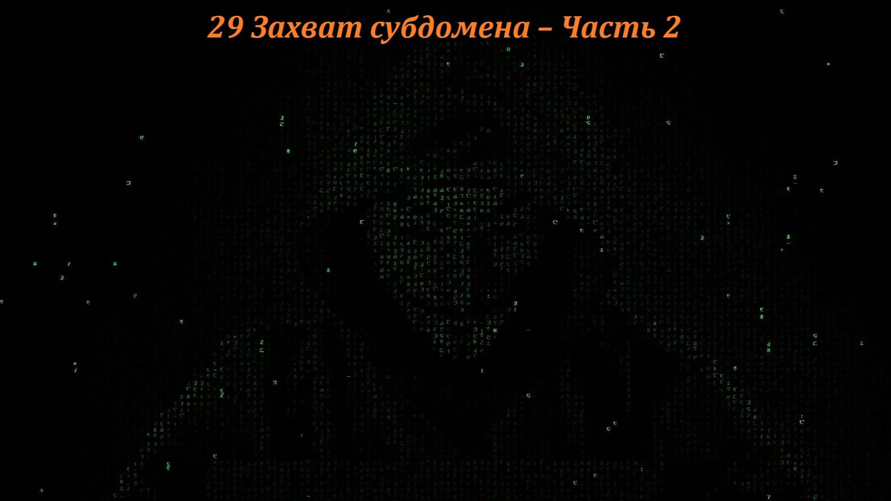 29 Захват субдомена – Часть 2 смотреть онлайн