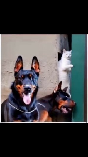 Когда нет обоняния