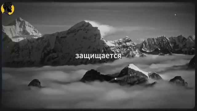(32 УРОК) 12 женских слабостей, которые дают вам преимущество _ Стоицизм смотреть онлайн