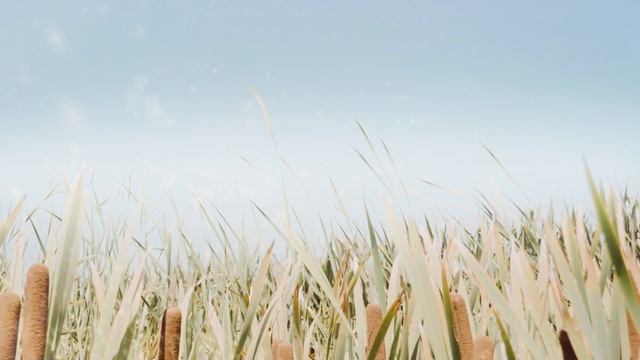 Кто хочет из вас быть смотреть онлайн