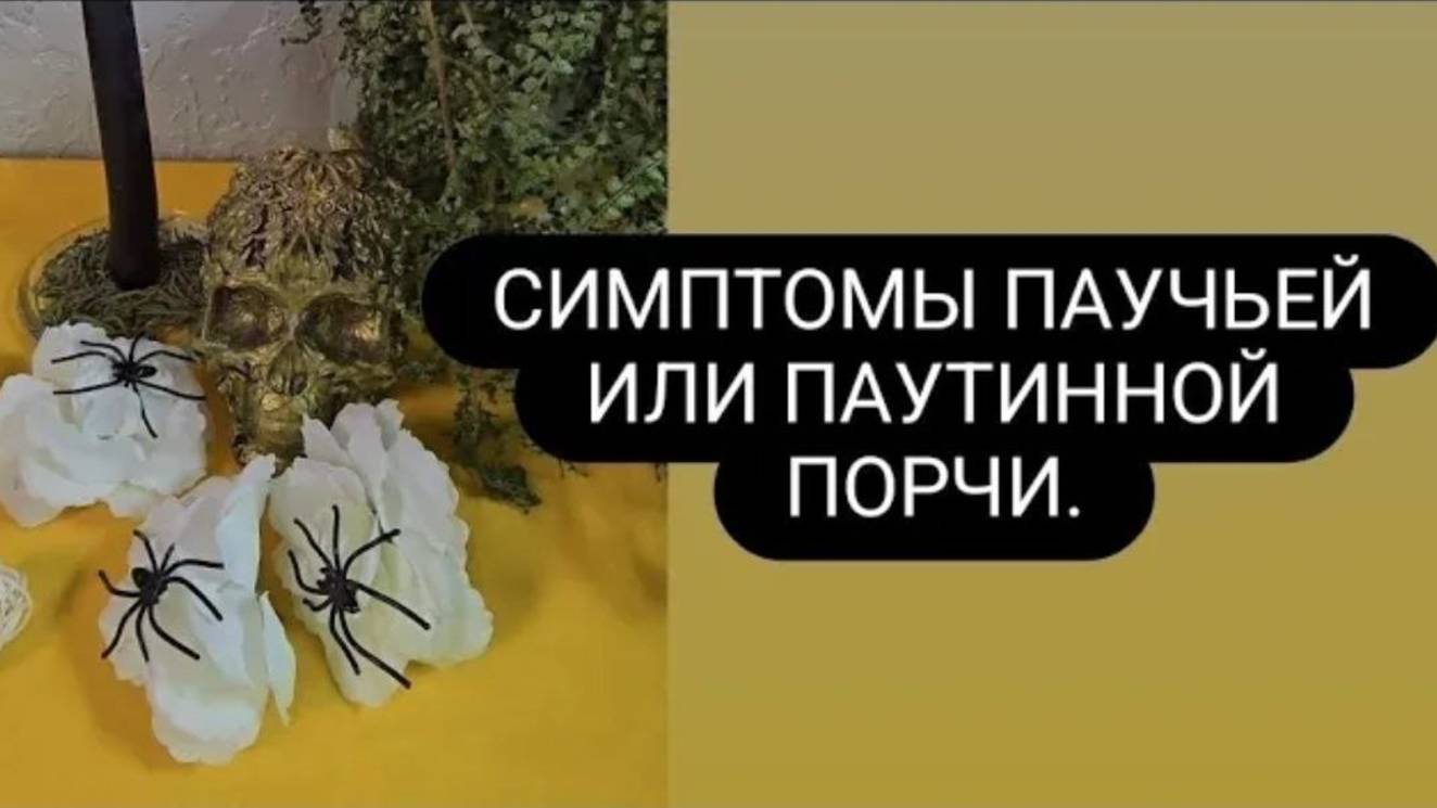Симптомы паучьей порчи. #паучьяпорча #симптомыпаучьейпорчи смотреть онлайн
