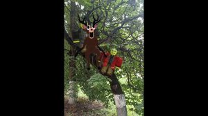 МЕДВЕЕДЬ,ЭТО БЫЛ ЕЖИК