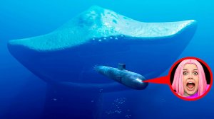 срочно! ЭЛЬ ГРАН МАЙЯ и БЛУП напали на мою подводную лодку в Реальной Жизни !!