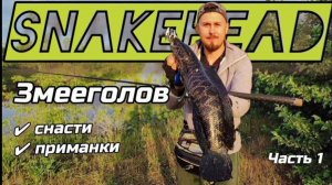 ЗМЕЕГОЛОВ - UFC боец среди рыб👊🏼
Ловим змееголова в Сибири. Рыбалка Новокузнецк.