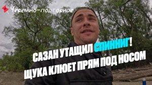 САЗАН УТАЩИЛ СПИННИНГ | ЩУКА ПОД БЕРЕГОМ | ОБЬ, ЧЕРЕМНО - ПОДГОРНОЕ