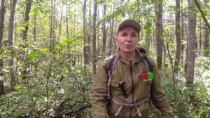 Поход на Волшебную лужу. Что там случилось?