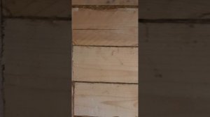 на что лучше клеить ОСБ к стенам? Монтажная Пена или Клей-пена