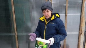 Мы победили красного куриного клеща! Эти три средства избавят вас от паразитов в курятнике.