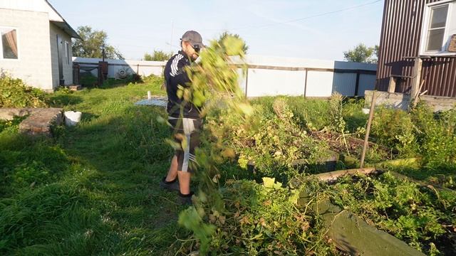 САД И ОГОРОД пора уборки смотреть онлайн