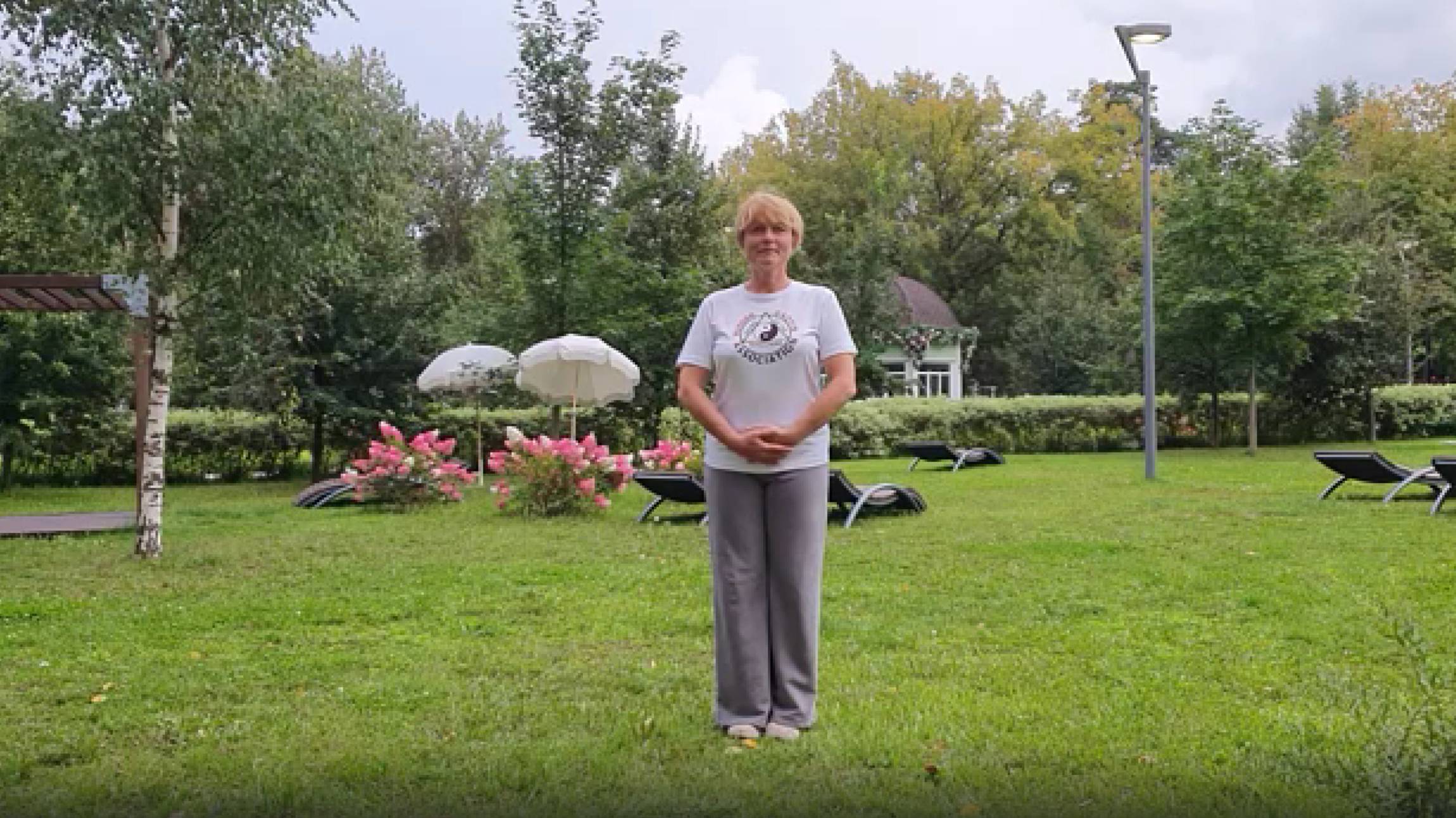 Мастерство по гармонизации желудка и укреплению селезенки