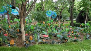 Предпоследний день в Бэйдайхэ.Гнездо голубки.