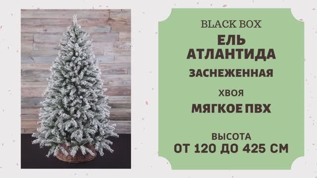 Black Box - ОБЗОР искусственной ели Атлантида заснеженная смотреть онлайн