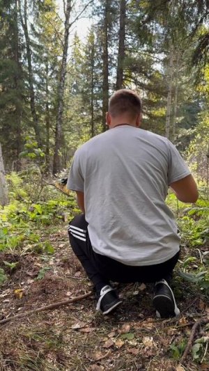 Скворечник своими руками