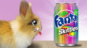 КРОЛИК БАФФИ И ФАНТА [2017]