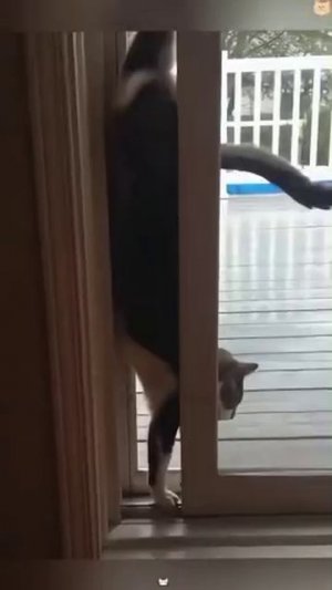 Хозяева нашей жизни