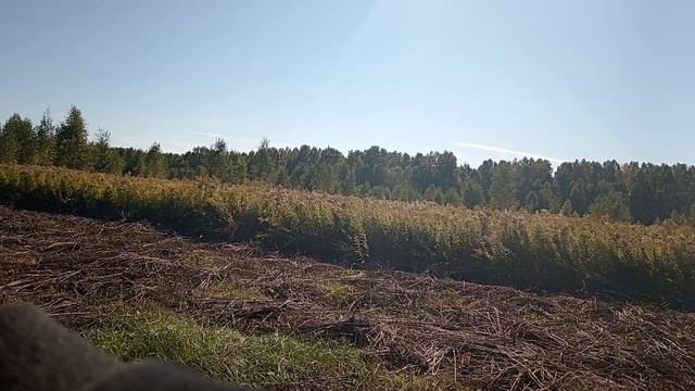 Участок 10 соток ИЖС