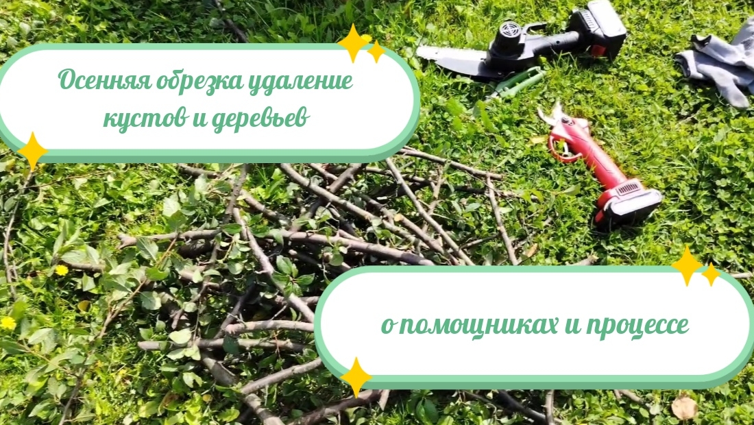 Обрезка кустов и три помощника / гаджеты для обрезки деревьев
