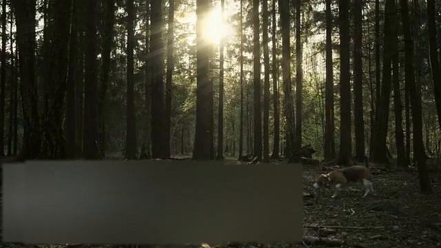 Автомобильная палатка Artelv Roof Tent R