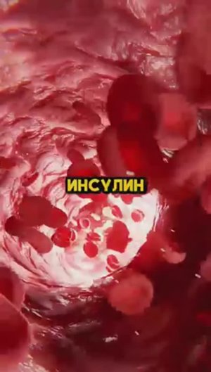 Что произойдёт с вашим телом, если вы перестанете есть на 36 часов ✅