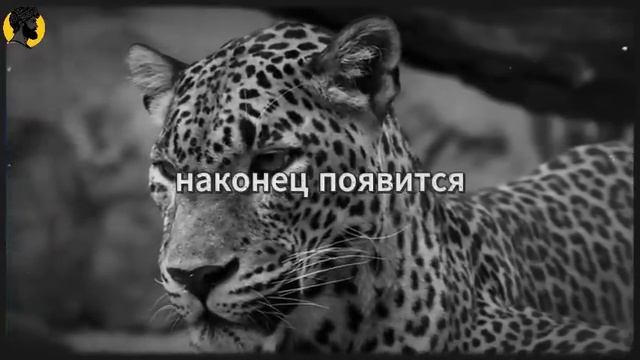 (36 УРОК) ТЕБЯ НИКОГДА НЕ БЫЛО ДОСТАТОЧНО… ПОКА ТЫ НЕ УШЕЛ _ СТОИЦИЗМ смотреть онлайн