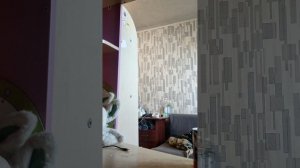 влог школьное утро