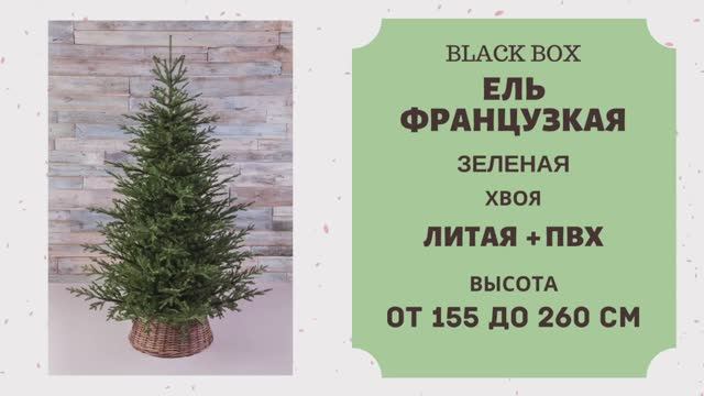 Black Box - ОБЗОР искусственной ели Французская зелёная смотреть онлайн