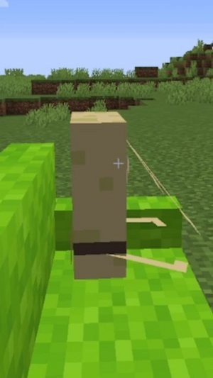 Мой лучший троллинг друга в Майнкрафте! #сарол #майнкрафт