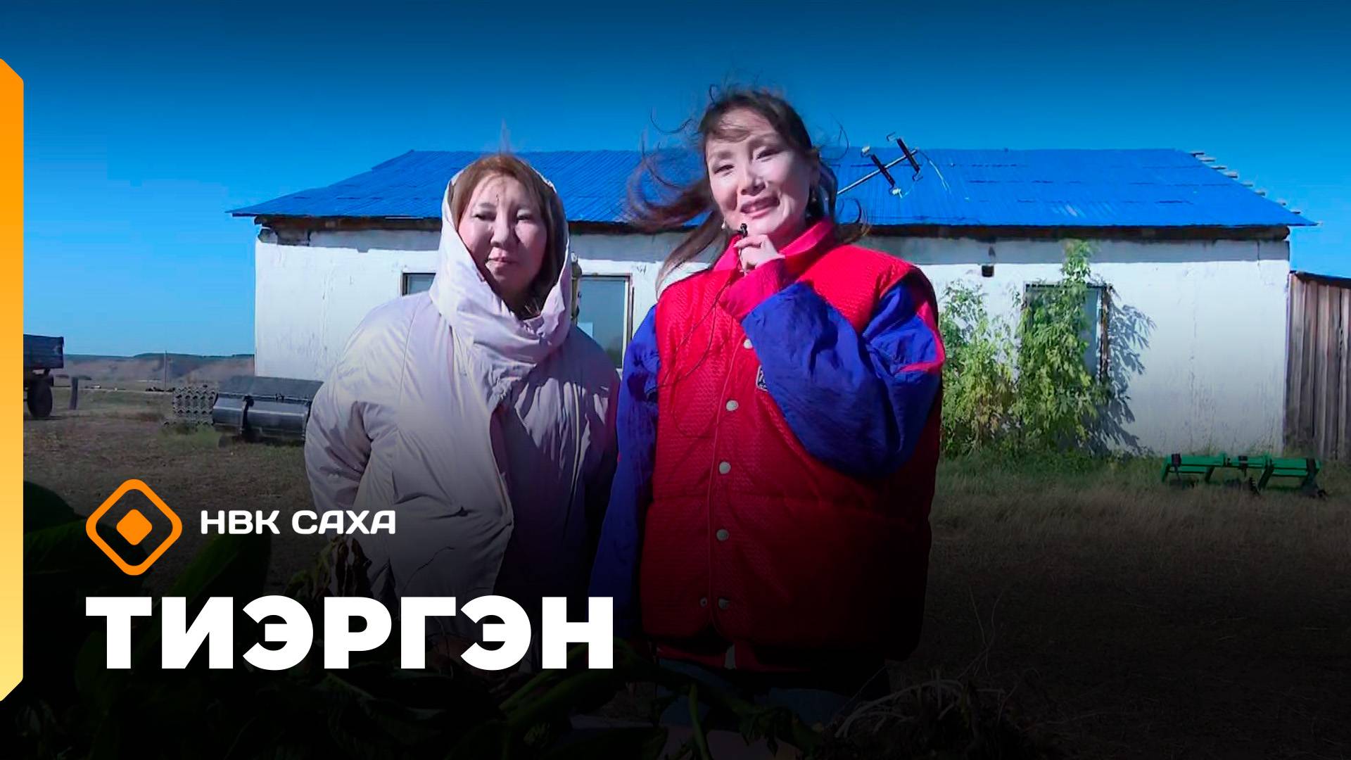 «Тиэргэн»: хортуоппуй хомуура (09.09.25)