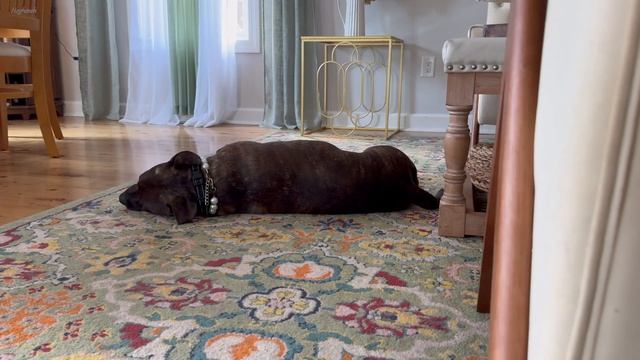 Lousin's 19th Birthday ASMR Эгине смотреть онлайн