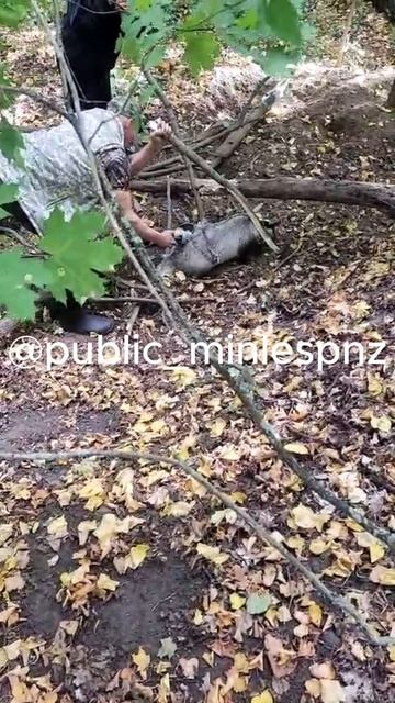 барсук 2 смотреть онлайн
