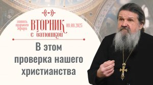 Как избавиться от чувства страха? Вторник с батюшкой. Беседа с прот. Андреем Лемешонком 09.09.2025
