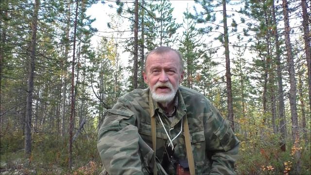 Сентябрь. Север. В лесу.. Немного о медведях. 11.09.25. смотреть онлайн