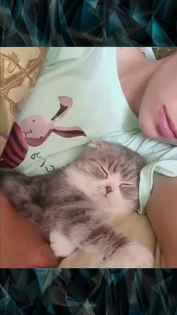 Девушка и кошка смотреть онлайн